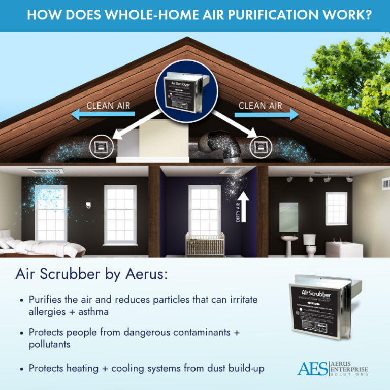 Air Scrubber by Aerus, How does air purification cycle works