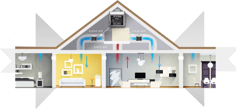 Infographic showing how plumbing connects throughout the rooms of a house.